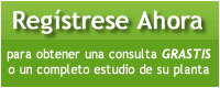 register_mex